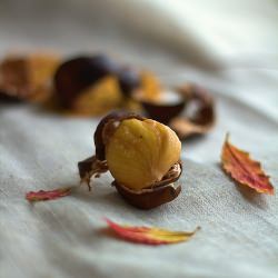 Chestnuts