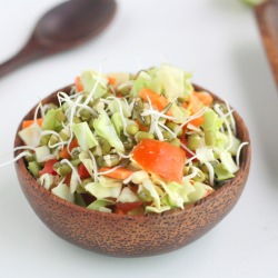 Sprouts Salad