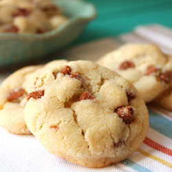 Cinnamon Chip Snickerdoodles