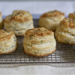 Sage and Fontina Buttermilk Biscuit