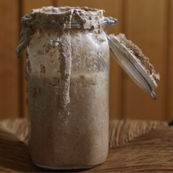 Magic Sourdough