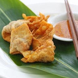 Fried Wontons Finger Food