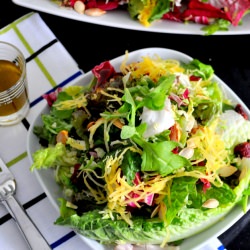 Leafy Green “Thanksgiving” Salad