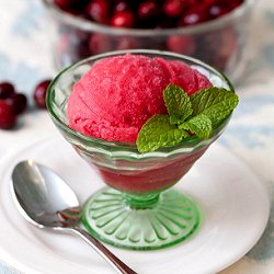 Cranberry Sorbet