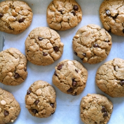 Protein Peanut Butter Cookies