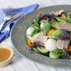 Pork Roast, Lychee & Mandarin Salad