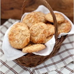 Lemon Oatmeal Cookies