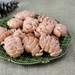 Pine Cone Meringues