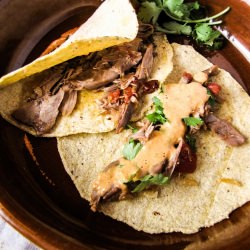 Duck Carnitas Tacos