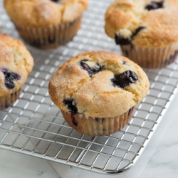 Easy Blueberry Muffin