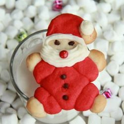 Jolly Santa Clause Cookies