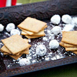 Snow Covered Cranberries