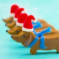 Wiener Dog Santa Cookies