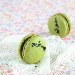 Matcha Macarons