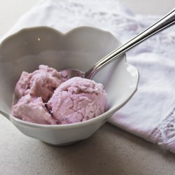 Pomegranate Kiwi Ice Cream