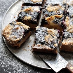 Blueberry Bars