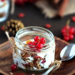 Homemade Granola with Cranberries