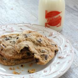 Gooey Chocolate Chunk Cookies