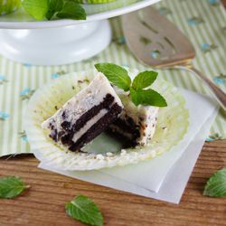 Mint Chocolate Mini Cheesecakes