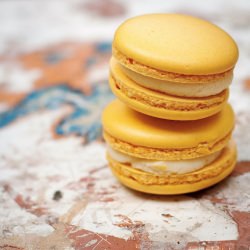 Macaron Video Tutorials