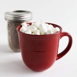 Boozy Hot Cocoa