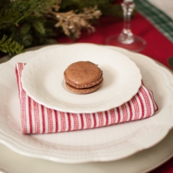 Fantastic Chocolate macaron