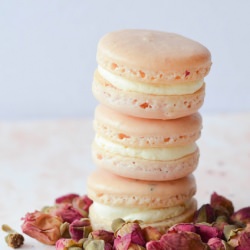 Vanilla Rose Macarons