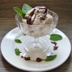 Vegan Mint Chocolate Chip Ice Cream