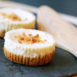 Gingerbread Cheesecake