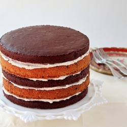 Chocolate Cinnamon Cake