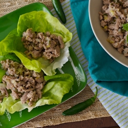 Thai Turkey Larb