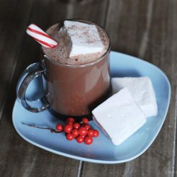 Hot Chocolate & Marshmallows