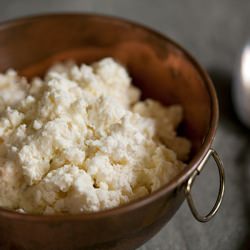 Fresh Whole-Milk Ricotta