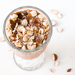 Boozy Malted Chocolate Milkshake