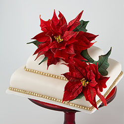 Poinsettia Cake