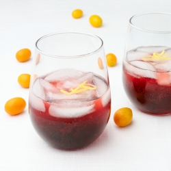 Hibiscus Cocktail