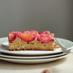 Plum Hazelnut Yogurt Cake