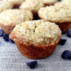 Buttermilk Chocolate Chip Muffins