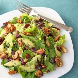 Cranberry-Avocado Salad