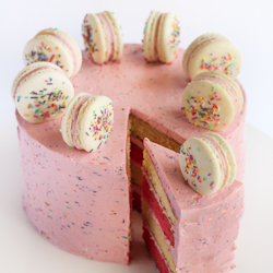 Pink & White Layered Sprinkle Cake