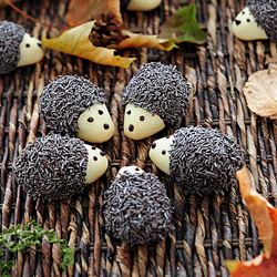 Hedgehog Cookies