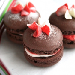 Chocolate Peppermint French Macaron