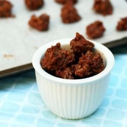 Chocolate Peanut Butter Bites