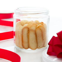 Lengua de Gato