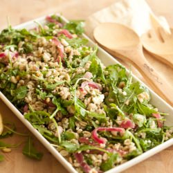 Farro Salad w/ Arugula & Herb