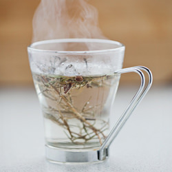 Drink with Rosemary