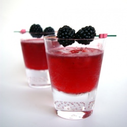 Blackberry Gin & Tonic