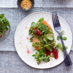 Citrus Salad with Toasted Coconut