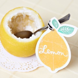 Lemon Sorbet