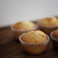 Lemon Poppy Seed Muffins